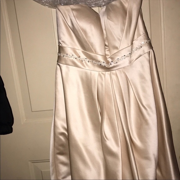 Champagne Dress - Picture 1 of 5
